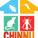 chinnu pest White